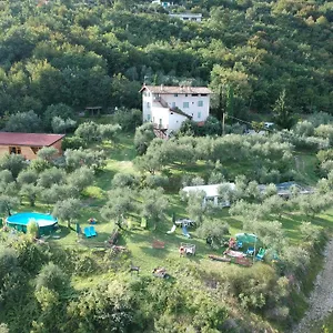 Conte Brunello Salò